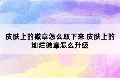 皮肤上的徽章怎么取下来 皮肤上的灿烂徽章怎么升级